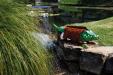 oo_croco_light-object_green_MG_7721