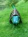 oo_croco_light-object_green_wmh_Perry-Lyman