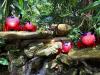 oo_crusty_light-object_red_flamingo-gardens_IMG_0520_BB
