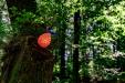 oo_fat-gonzo_light-object_red-orange_GK_DSC04290_korrBB