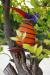 oo_gonzo_outdoor-sculpture_orange-with-stripes_aldenbiesen_mj_MG_1145