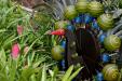 oo_pavo_outdoor-sculpture_lime-green_lor_BB