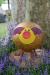 oo_pig_light object_amber_IMG_5227