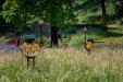 oo_road-runner_outdoor-sculpture_multicolored_GK-A7R02398_final