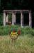 oo_leaf_outdoor-sculpture_green_bot.gart