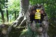 oo_suzy-bee_light-object_yellow