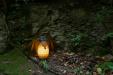oo_vampy_light-object_olive_GK-A7R02289_final