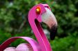 oo_flamingo_outdoor-sculpture_rose_detail_BB