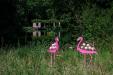 oo_flamingo_outdoor-sculpture_rose_GK-A7R01994_wmh