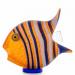 sl_angelfish_object_orange_GM-1587-1-700x700