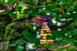 oo_big-gonzo_light-object_orange-with-stripes_GK_DSC04337_BB