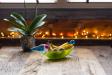 sl_ente_bowl_lime-green_gm_IMG_2043-1-700x467