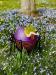 oo_figaro_light-object_purple_MB-IMG_1167-700x933