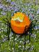 oo_figaro_light-object_orange_MB-IMG_1176-700x933