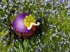 oo_figaro_light-object_purple_MB-IMG_1156-700x525