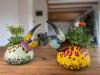 sl_hercules_bowl_group_MB_IMG_0121-700x525