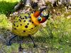 oo_herkules-bug_light-object_lemon-green_MB-8012_2-700x525