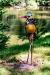 oo_heron_light-object_olive_GK_DSC04385_BB
