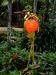 oo_heron_light-object_red_flamingo-gardens
