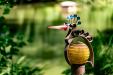 oo_heron_light-object_olive_GK_DSC04384