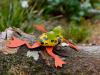 oo_hopkins_outdoor-sculpture_orange_MB-IMG_1364-700x525