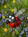 oo_mario-on-stick_outdoor-sculpture_red_MB-IMG_1126-700x933