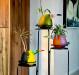 sl_pico_vase_group_IMG_6642-700x668