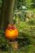 oo_tawny_fat_light-object_amber_gk_BorOut160703--12