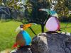 oo_tukano_light-object_group_MB_IMG_6912-700x525