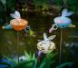 oo_lucy_outdoor-sculpture_group_UD-55-700x612